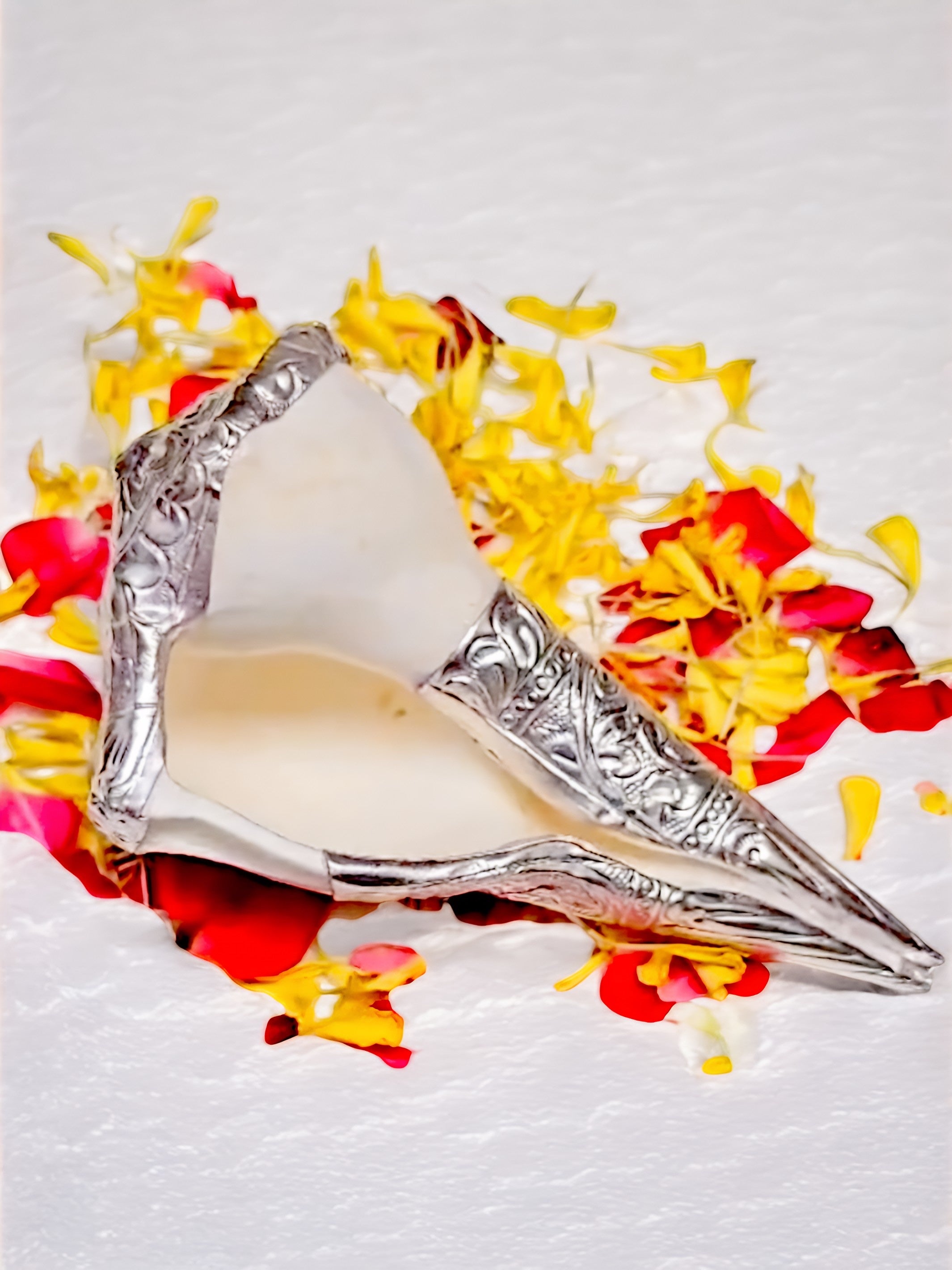 Pure Silver Original Sea Dakshinavarti Shankh Conch Shell