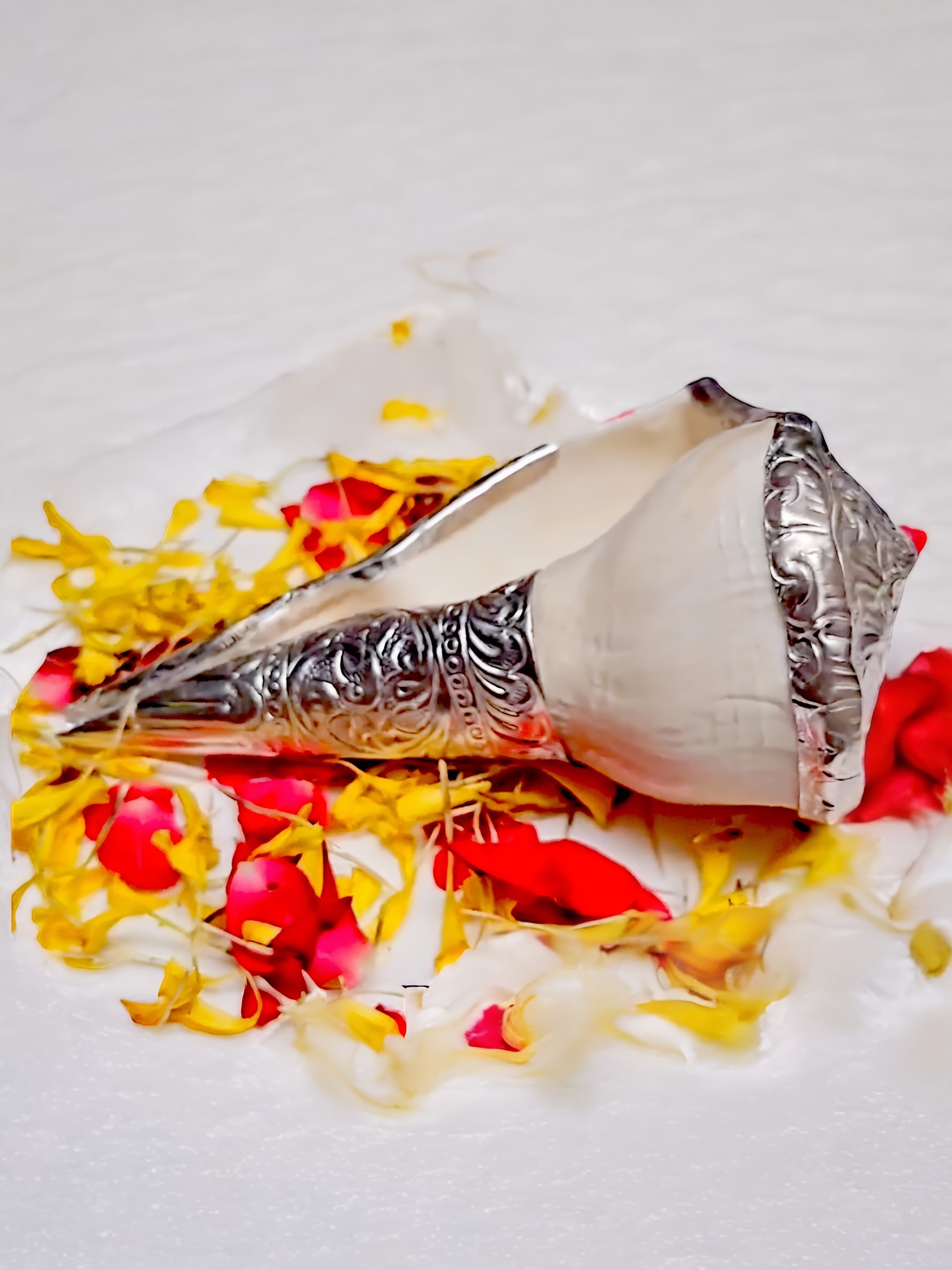 Pure Silver Original Sea Dakshinavarti Shankh Conch Shell